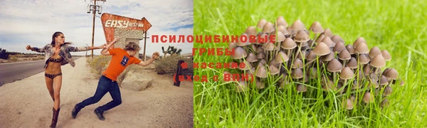 мяу мяу мука Краснослободск