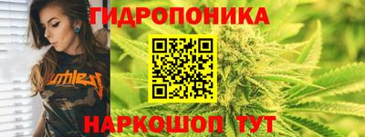 mdma Камышлов
