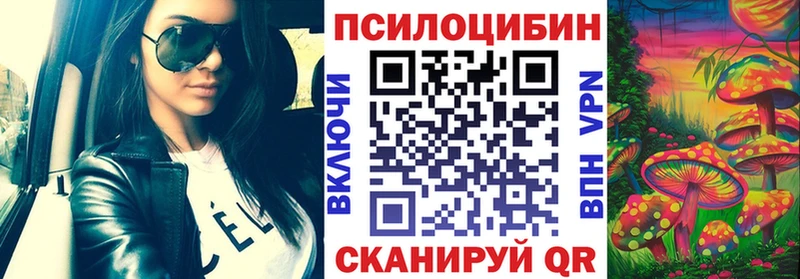 Псилоцибиновые грибы Psilocybe  Купить закладки  Ухта 