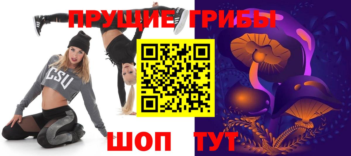 Псилоцибиновые грибы Psilocybe  Вход с VPN  Ухта 