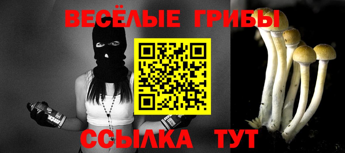 Галлюциногенные грибы Cubensis Ухта